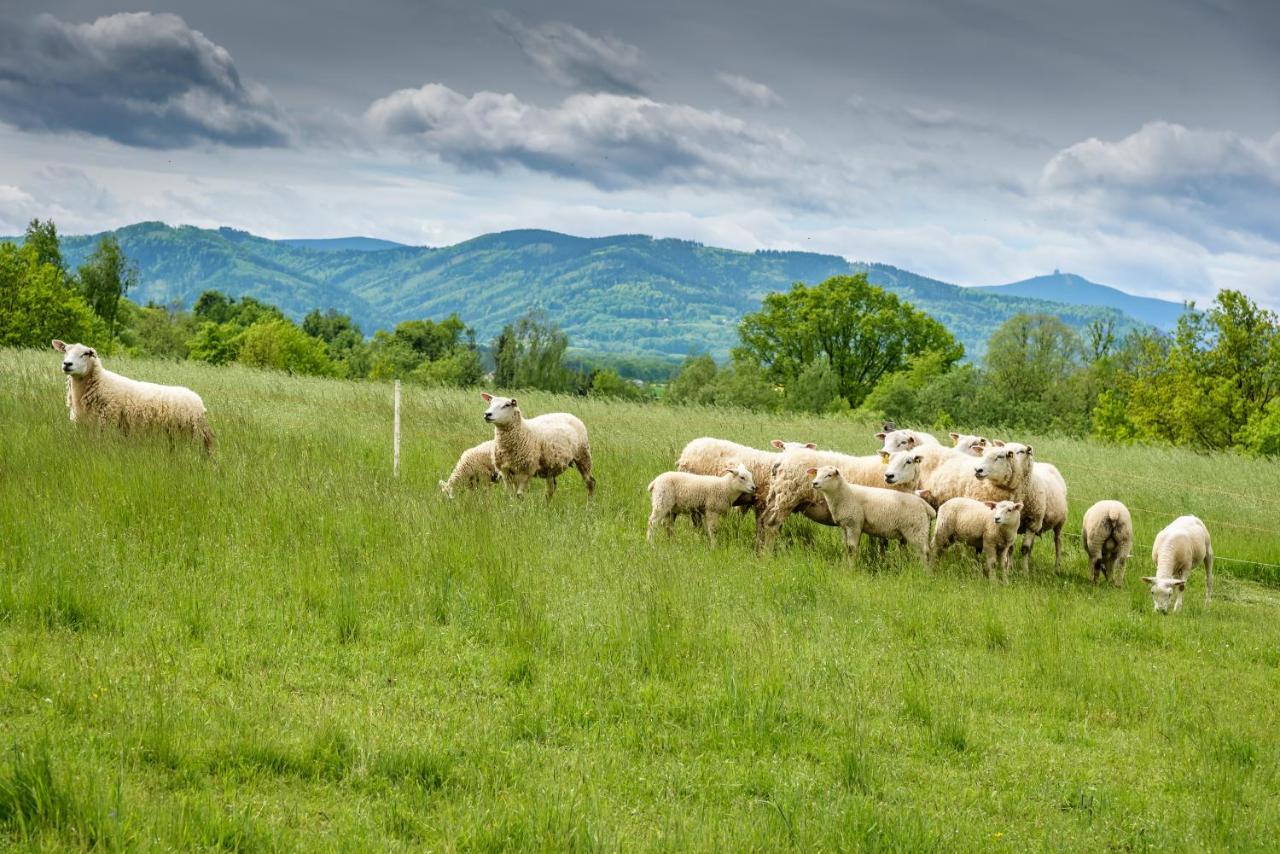 Agroturistika - "Domecek U Ovecek" Villa Horni Terlicko Luaran gambar