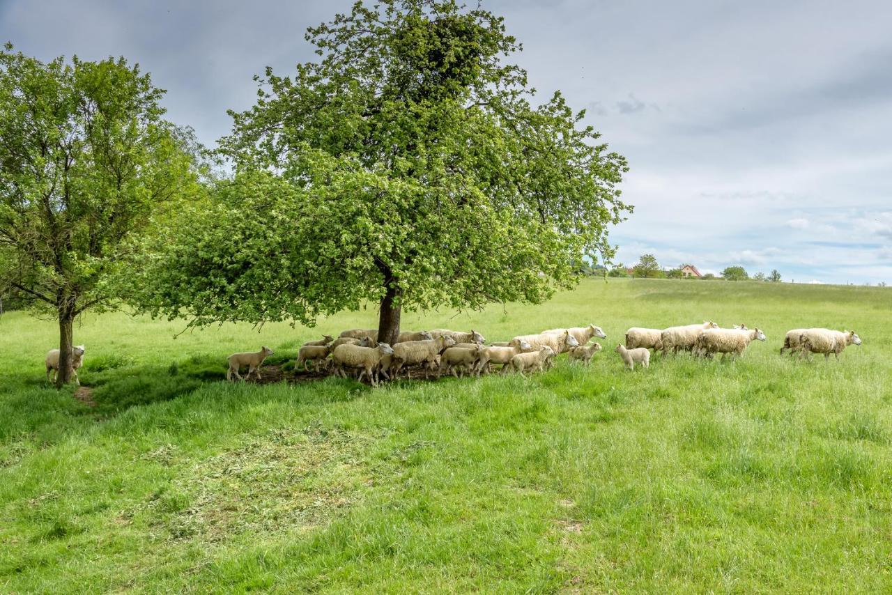 Agroturistika - "Domecek U Ovecek" Villa Horni Terlicko Luaran gambar