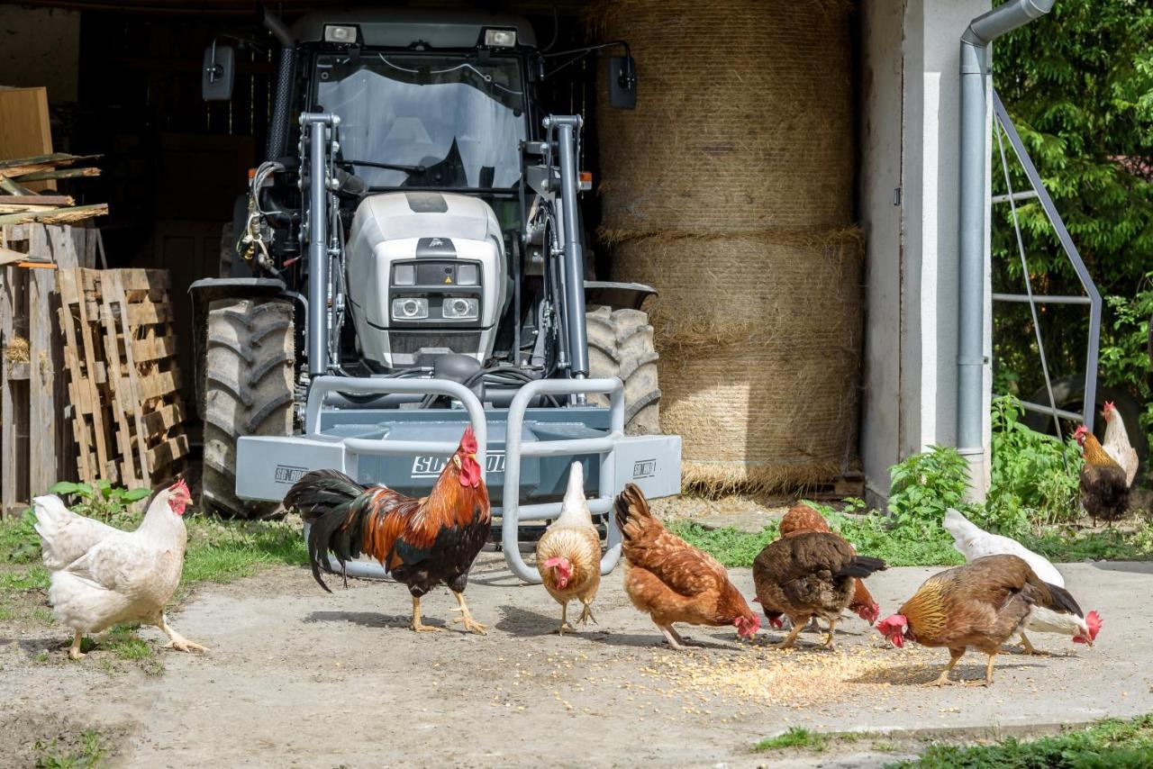 Agroturistika - "Domecek U Ovecek" Villa Horni Terlicko Luaran gambar